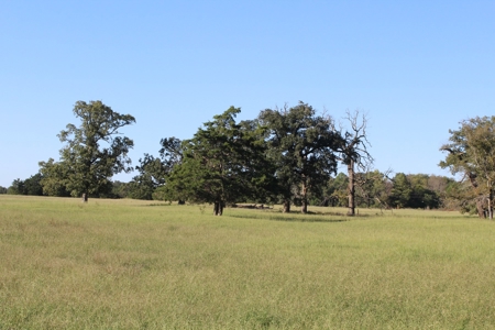 Land For Sale In Red River County, Texas - image 17