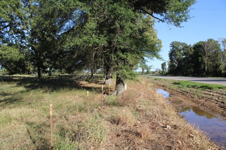 Land For Sale In Red River County, Texas - image 24