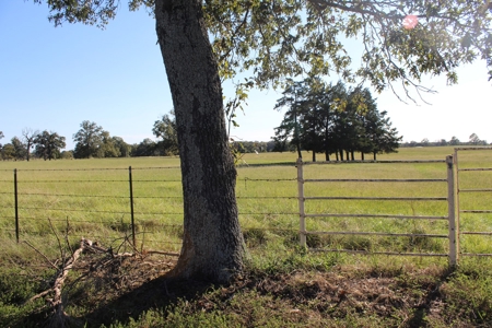 Land For Sale In Red River County, Texas - image 8