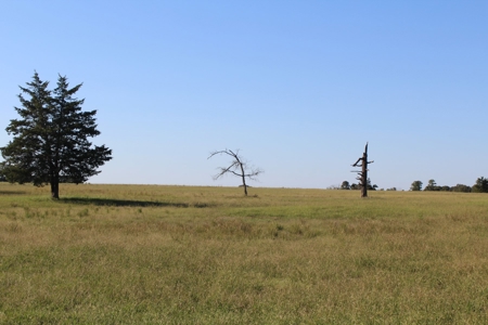 Land For Sale In Red River County, Texas - image 16