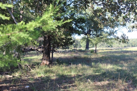 Land For Sale In Red River County, Texas - image 19