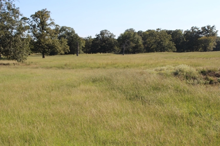 Land For Sale In Red River County, Texas - image 13