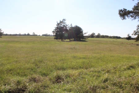 Land For Sale In Red River County, Texas - image 2