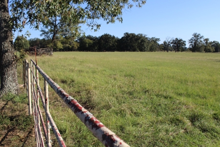 Land For Sale In Red River County, Texas - image 4