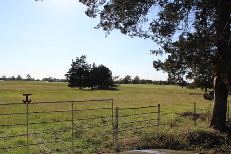 Land For Sale In Red River County, Texas - image 1