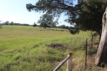 Land For Sale In Red River County, Texas - image 3