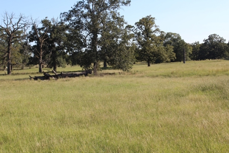 Land For Sale In Red River County, Texas - image 14