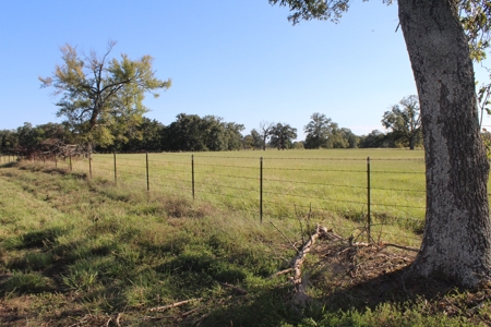 Land For Sale In Red River County, Texas - image 9