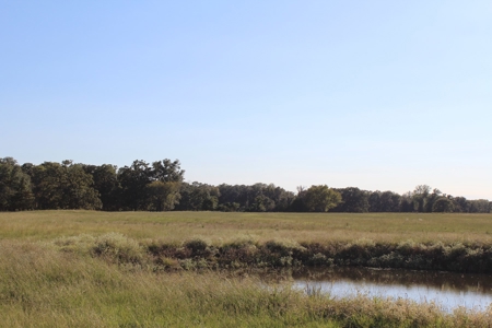Land For Sale In Red River County, Texas - image 11