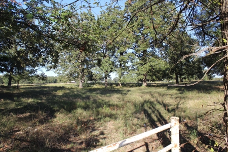 Land For Sale In Red River County, Texas - image 20