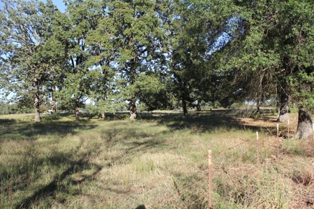 Land For Sale In Red River County, Texas - image 22
