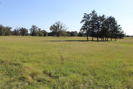 Land For Sale In Red River County, Texas - image 5