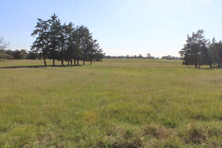 Land For Sale In Red River County, Texas - image 6