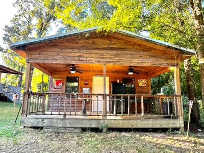 Home for sale Abbeville, AL - image 11