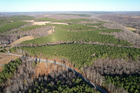 50 Wooded Acres in Scenic Lewis County, TN - image 19