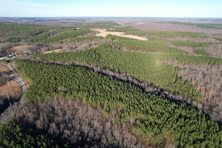 50 Wooded Acres in Scenic Lewis County, TN - image 20