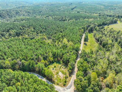 50 Wooded Acres in Scenic Lewis County, TN - image 1