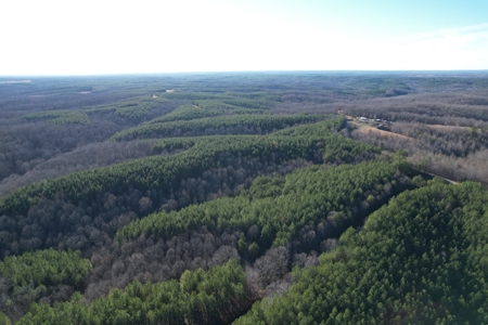 50 Wooded Acres in Scenic Lewis County, TN - image 17