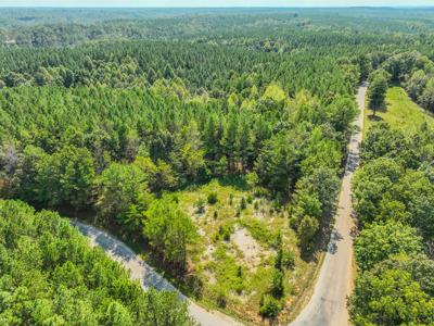 50 Wooded Acres in Scenic Lewis County, TN - image 6