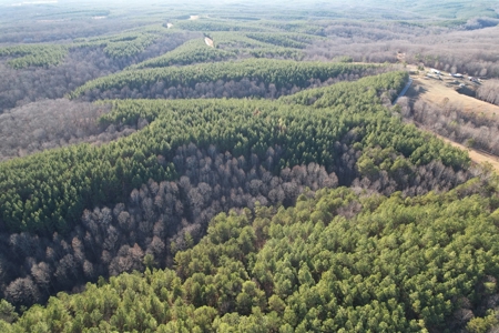 50 Wooded Acres in Scenic Lewis County, TN - image 23