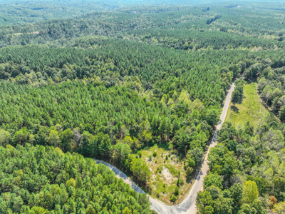 50 Wooded Acres in Scenic Lewis County, TN - image 5