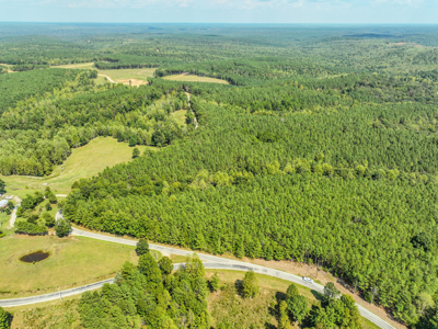 50 Wooded Acres in Scenic Lewis County, TN - image 2