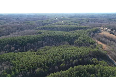 50 Wooded Acres in Scenic Lewis County, TN - image 21