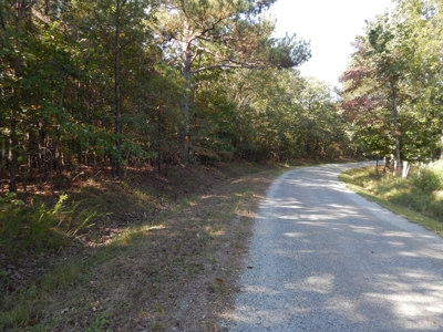 50 Wooded Acres in Scenic Lewis County, TN - image 5