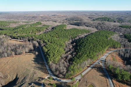 50 Wooded Acres in Scenic Lewis County, TN - image 18