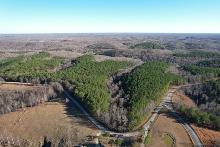 50 Wooded Acres in Scenic Lewis County, TN - image 22