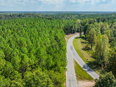 50 Wooded Acres in Scenic Lewis County, TN - image 10