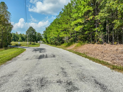 50 Wooded Acres in Scenic Lewis County, TN - image 11