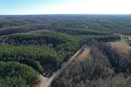 50 Wooded Acres in Scenic Lewis County, TN - image 24