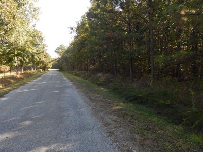 50 Wooded Acres in Scenic Lewis County, TN - image 6