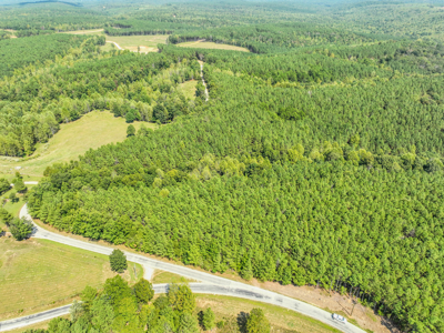 50 Wooded Acres in Scenic Lewis County, TN - image 3