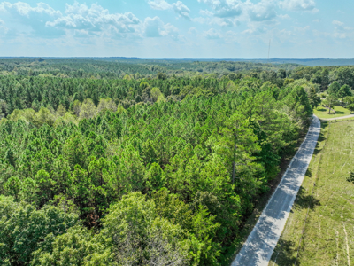 50 Wooded Acres in Scenic Lewis County, TN - image 7