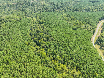 50 Wooded Acres in Scenic Lewis County, TN - image 14