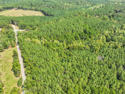 50 Wooded Acres in Scenic Lewis County, TN - image 9