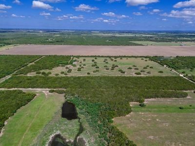 51.5 Acres Sandia, Texas - image 11