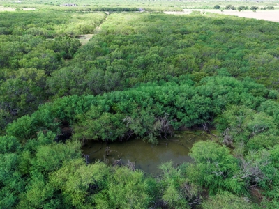 51.5 Acres Sandia, Texas - image 15