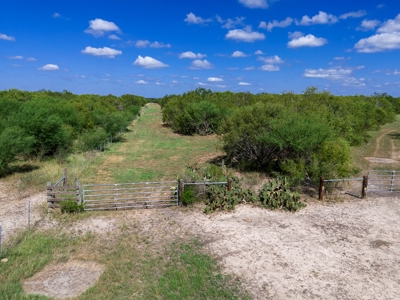 51.5 Acres Sandia, Texas - image 17