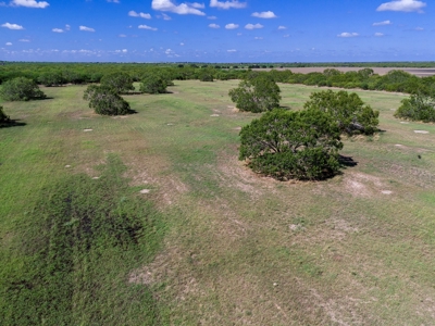 51.5 Acres Sandia, Texas - image 13