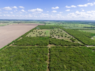 51.5 Acres Sandia, Texas - image 6