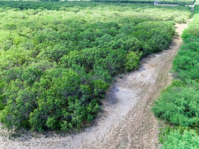 51.5 Acres Sandia, Texas - image 16