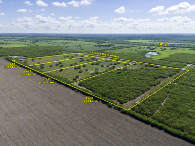51.5 Acres Sandia, Texas in Jim Wells County - image 21