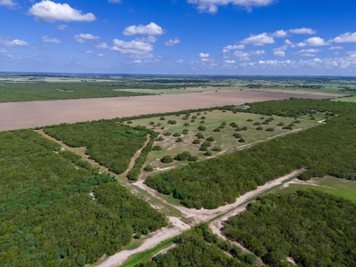 51.5 Acres Sandia, Texas - image 7