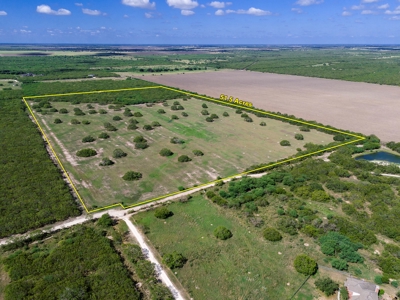 51.5 Acres Sandia, Texas - image 2