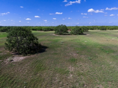 51.5 Acres Sandia, Texas - image 14