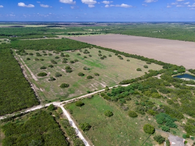 51.5 Acres Sandia, Texas - image 3