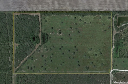 51.5 Acres Sandia, Texas - image 1